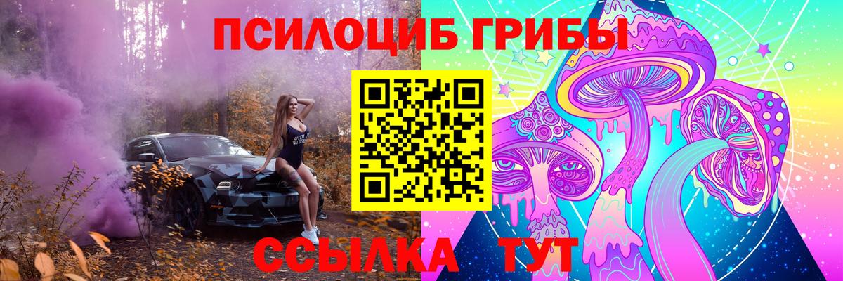 Галлюциногенные грибы Cubensis  купить  цена  Сосновый Бор  Вход с VPN  Псилоцибиновые грибы Magic Shrooms 